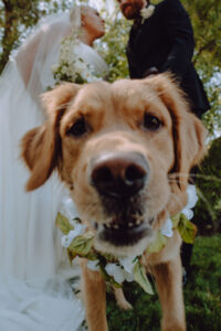 Karissa austin bridgewood events dream capture studios